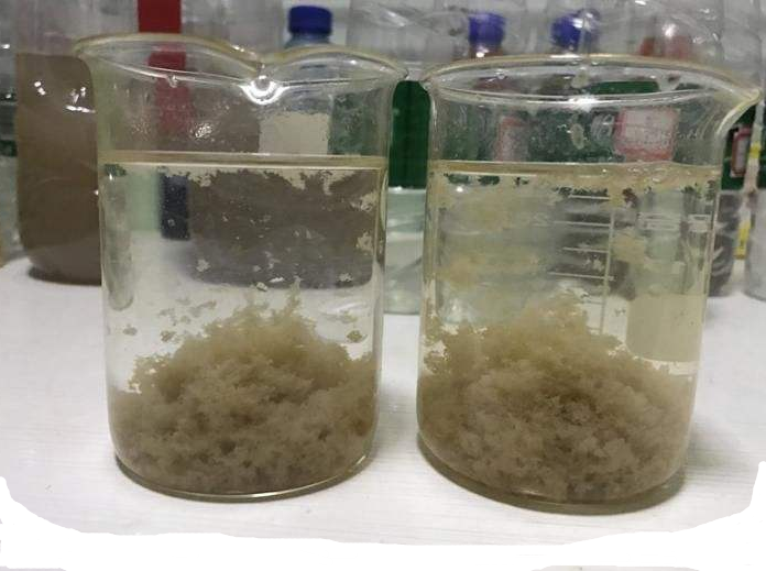 �۱�ϩ����