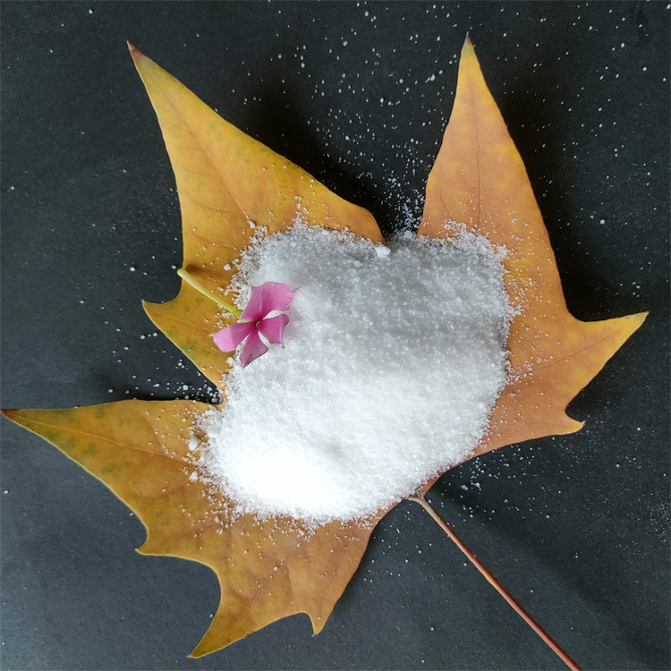 聚丙烯酰胺 聚丙烯酰胺